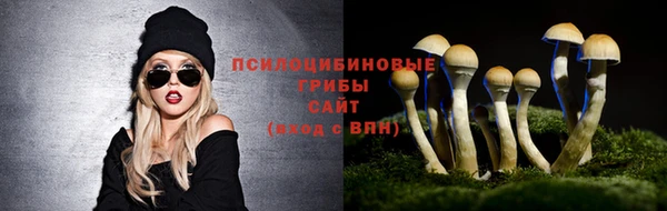 крисы Красноперекопск