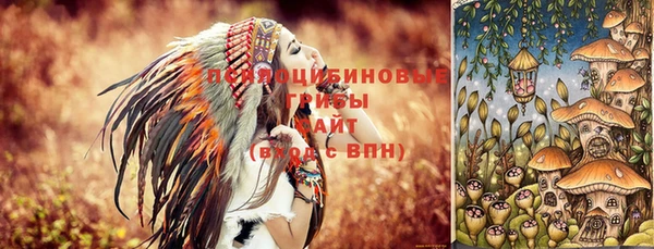 крисы Красноперекопск