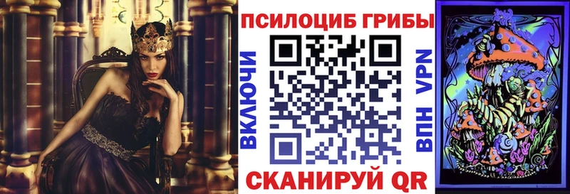 Псилоцибиновые грибы MAGIC MUSHROOMS  Новосиль 