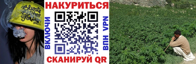 Шишки марихуана планчик  Новосиль 